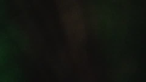 fauntzil online show from July 1, 11:16 pm