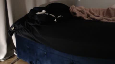 feetrmistress online show from August 15, 12:25 am