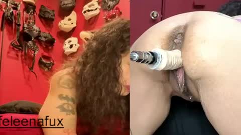 FeleenaFux online show from July 28, 5:41 pm