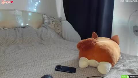 felixcurt online show from August 15, 11:14 am