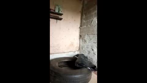 fernando_jsns online show from June 10, 12:56 pm