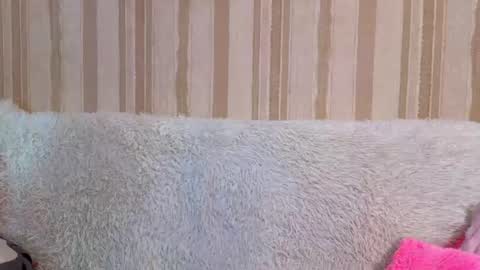 fieryy_foxy online show from August 4, 7:38 am