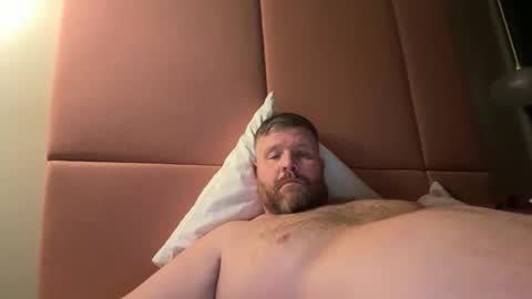 fin_dom_bear online show from February 28, 1:03 am