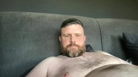 fin_dom_bear online show from April 24, 1:59 pm