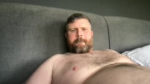 fin_dom_bear online show from May 19, 12:06 pm