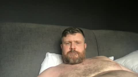 fin_dom_bear online show from June 17, 12:15 pm