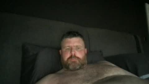fin_dom_bear online show from June 22, 12:06 pm