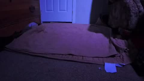 Bobby Curt online show from August 5, 4:43 am