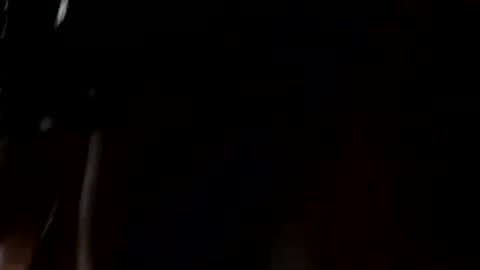 fitblair66_ online show from August 11, 5:26 pm