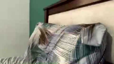 FittBoy online show from July 23, 1:13 pm