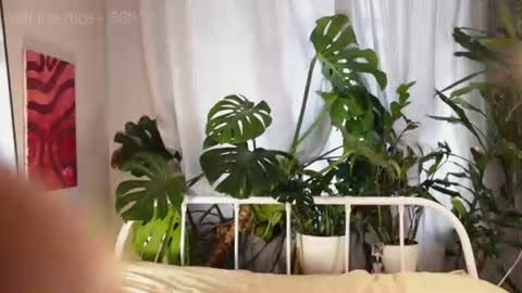 Eva online show from July 17, 3:01 pm