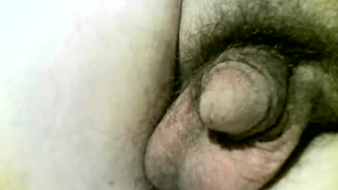 foeydog2024 online show from August 17, 12:59 am