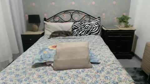 foxyhershey online show from March 25, 3:07 pm