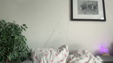 franny_fresh online show from August 8, 1:11 pm