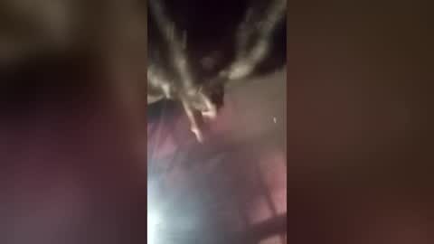 freakyrickyyy6 online show from June 18, 3:34 pm