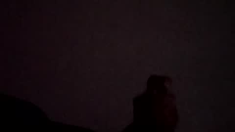 freakyrickyyy6 online show from August 1, 1:17 pm