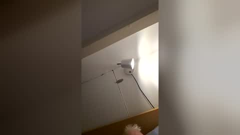 freddybear196258 online show from June 24, 6:26 am