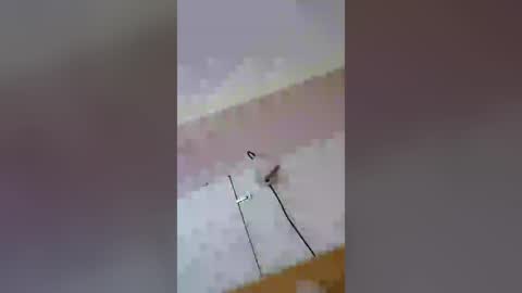 freddybear196258 online show from June 28, 9:34 am