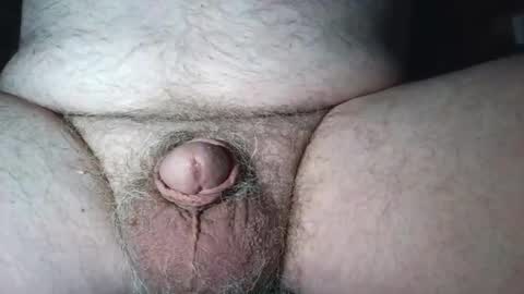 free_amos online show from July 8, 12:20 pm