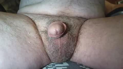 free_amos online show from July 30, 6:32 am