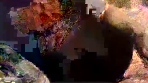 frenchb0i online show from May 24, 10:23 pm