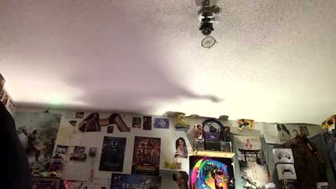 Fabian online show from July 29, 6:53 am