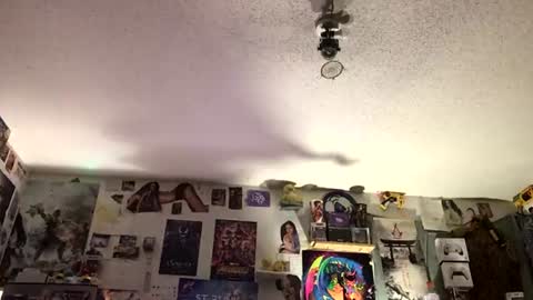 Fabian online show from July 29, 7:59 am