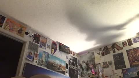 Fabian online show from August 15, 2:04 am