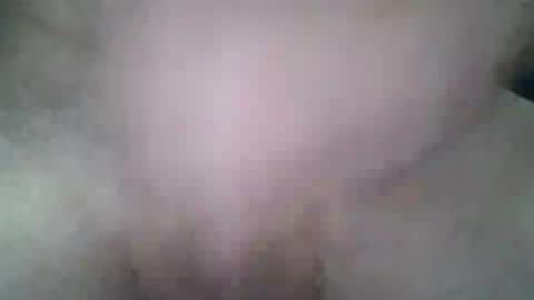 fry online show from August 14, 3:21 am