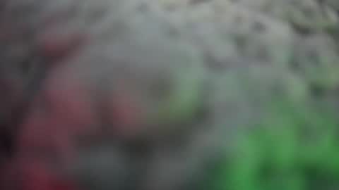 FuM0 online show from August 10, 11:11 am