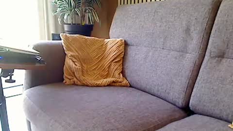 fun4couples online show from June 19, 9:42 am