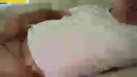 funnyhans online show from July 14, 8:29 am