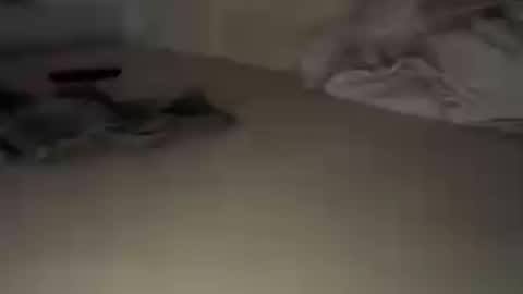 funnyhans online show from July 17, 7:47 pm