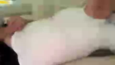 funnyhans online show from July 22, 7:55 am
