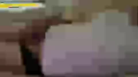 funnyhans online show from July 24, 8:17 am