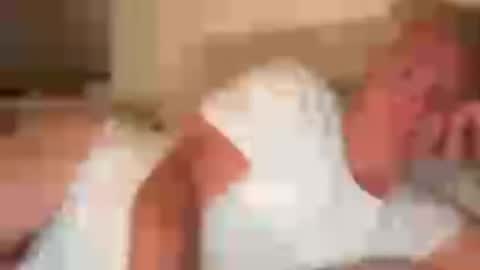funnyhans online show from July 24, 8:01 pm