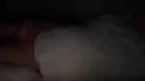 funnyhans online show from July 25, 11:09 pm
