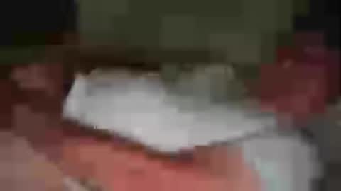 funnyhans online show from August 3, 7:32 pm