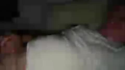 funnyhans online show from August 6, 12:09 am
