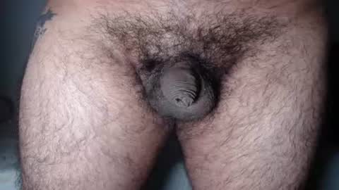 FurryAss online show from August 8, 5:40 am