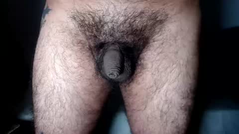FurryAss online show from August 9, 9:32 am