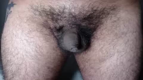 FurryAss online show from August 11, 6:37 am