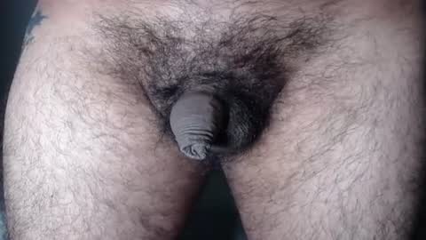 FurryAss online show from August 12, 3:53 am
