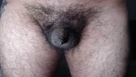 FurryAss online show from August 12, 9:22 am