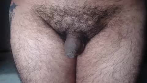 FurryAss online show from August 13, 8:06 am