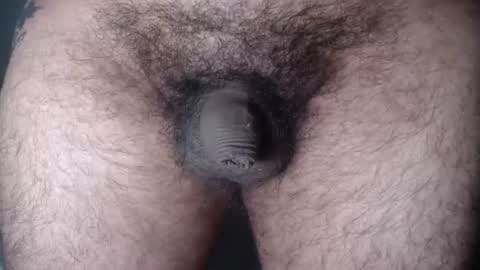 FurryAss online show from August 13, 10:18 am