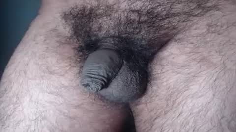 FurryAss online show from August 15, 4:16 am