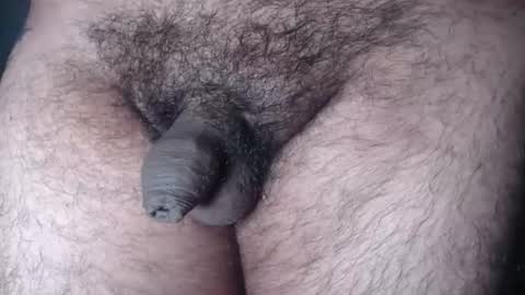 FurryAss online show from August 15, 5:22 am