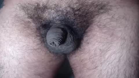 FurryAss online show from August 15, 8:40 am