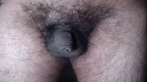 FurryAss online show from August 15, 9:46 am